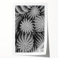 Botanical wall art print featuring a detailed cactus design in vibrant greens and earthy tones, rolled and ready for framing, perfect for home decor enthusiasts.