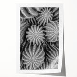 Botanical wall art print featuring a detailed cactus design in vibrant greens and earthy tones, rolled and ready for framing, perfect for home decor enthusiasts.