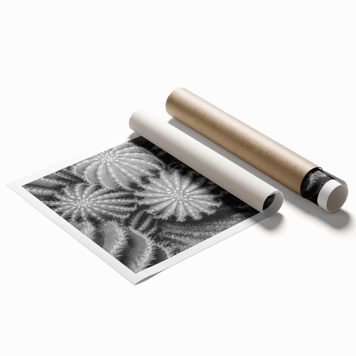 Botanical cactus wall art print showcasing intricate floral designs in vibrant colors, rolled for easy display and delivery in a protective tube. Ideal for home decor.