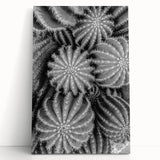 Botanical wall art piece showcasing a vibrant cactus design on stretched canvas, leaning against a neutral backdrop. Perfect for adding a touch of nature-inspired decor to any space.