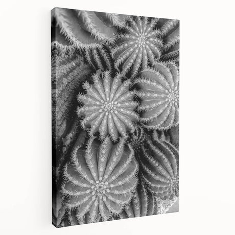 Side view of a botanical cactus design wall art print on stretched canvas, showcasing vibrant green hues and intricate floral details, perfect for modern home decor.