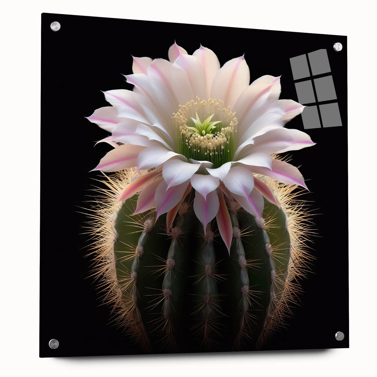 Vibrant botanical wall art featuring a detailed cactus design, displayed in an acrylic glass frame, showcasing colorful flowers and lush greenery, perfect for home decor.
