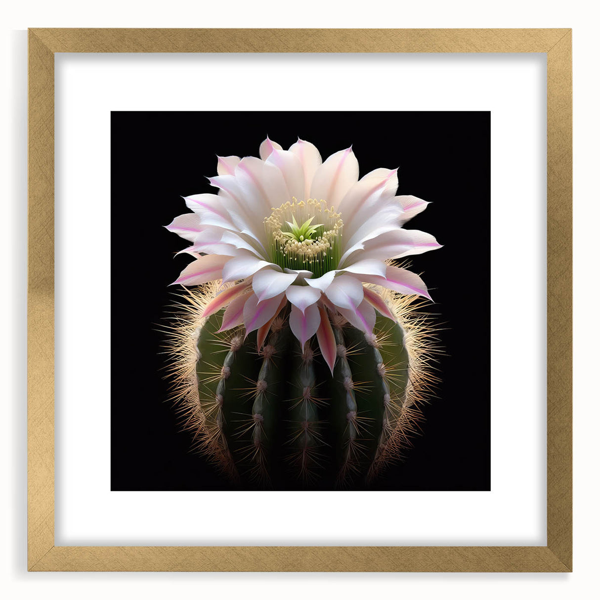 Botanical cactus wall art design framed in gold, showcasing vibrant floral illustrations on a textured background, perfect for modern home decor.