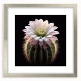 Botanical wall art featuring a delicate cactus design framed in silver, showcasing intricate details and vibrant colors, ideal for modern home decor.