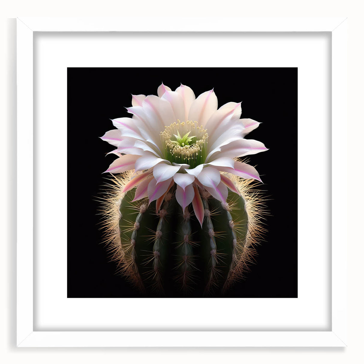 Botanical cactus wall art collection featuring vibrant floral illustrations in a sleek white frame with matting, perfect for modern home decor and nature enthusiasts.