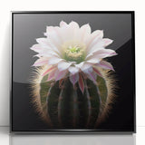 Framed wall art featuring a botanical cactus design in black acrylic frame, showcasing vibrant green and earthy tones, perfect for modern home decor.