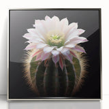 Framed wall art featuring a botanical cactus design with vibrant colors, set in a sleek silver frame, ideal for modern home decor and nature enthusiasts.