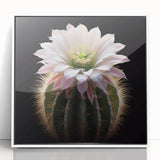 Framed wall art featuring a vibrant botanical cactus design in acrylic, showcasing a white frame and a modern aesthetic, perfect for home decor enhancement.