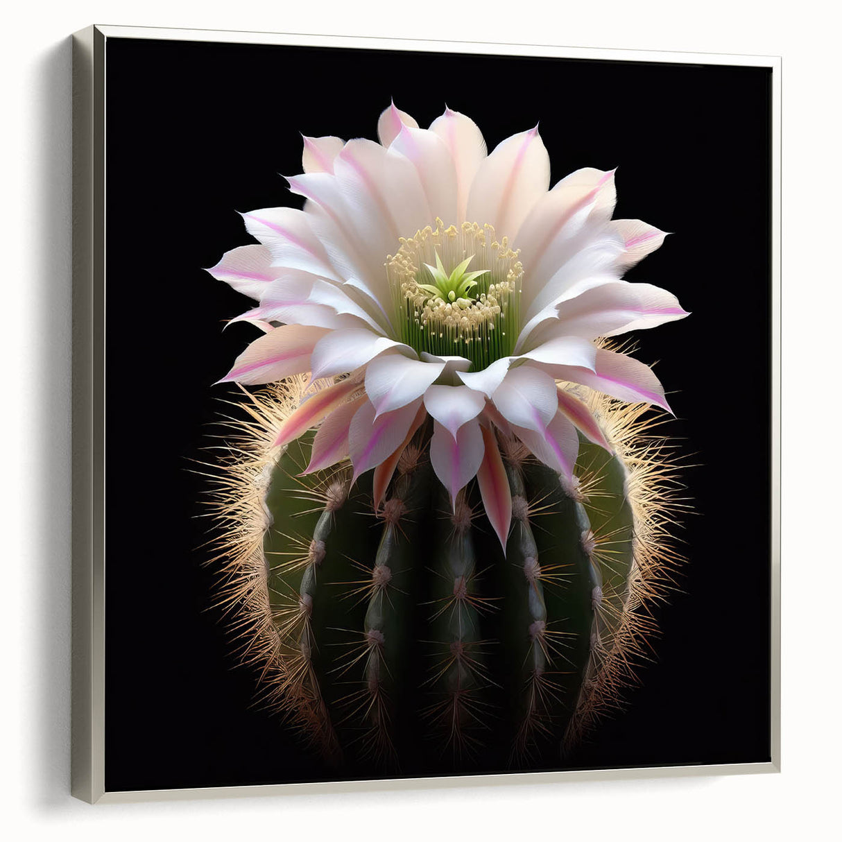 Framed botanical wall art collection showcasing a detailed cactus design in vibrant colors, enhanced by a sleek silver frame, perfect for modern decor.