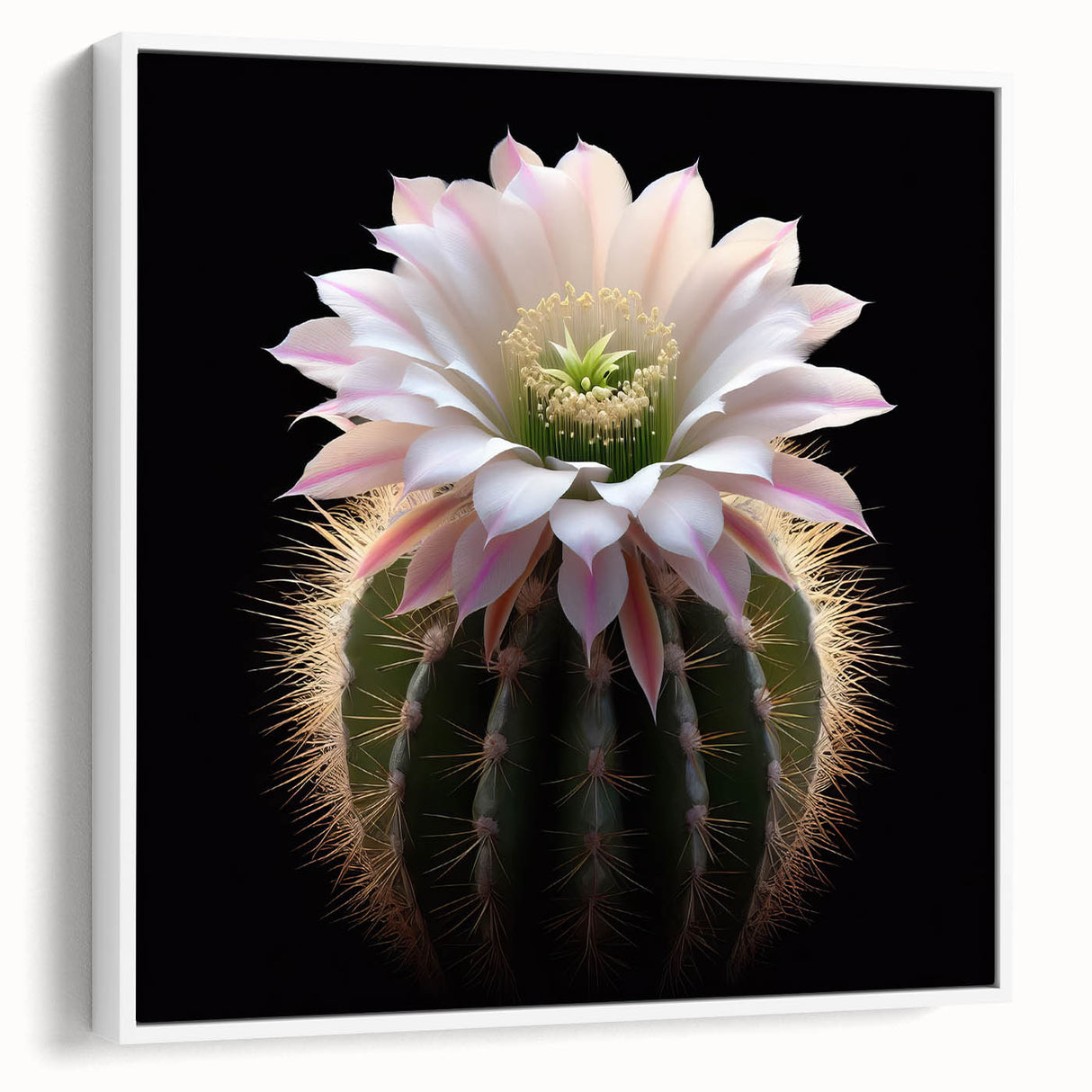 Framed wall art showcasing a botanical cactus design in vibrant colors, presented in a sleek white frame, perfect for modern home decor accents.