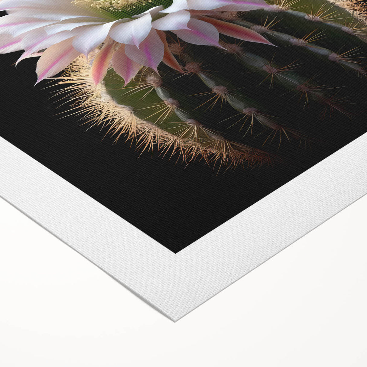 Vibrant botanical cactus wall art design on rolled canvas, showcasing intricate details and rich colors, perfect for adding a modern touch to home decor.