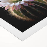 Vibrant botanical cactus wall art design on rolled canvas, showcasing intricate details and rich colors, perfect for adding a modern touch to home decor.
