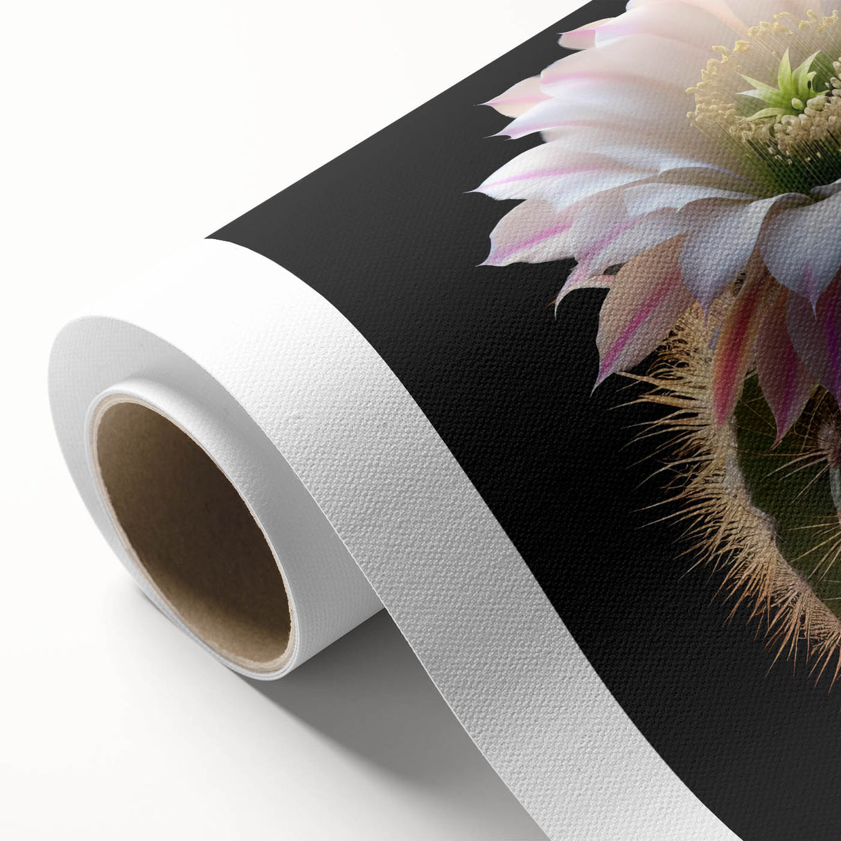 Botanical wall art design showcasing a vibrant cactus illustration on rolled canvas, perfect for enhancing home decor with a touch of nature's beauty.