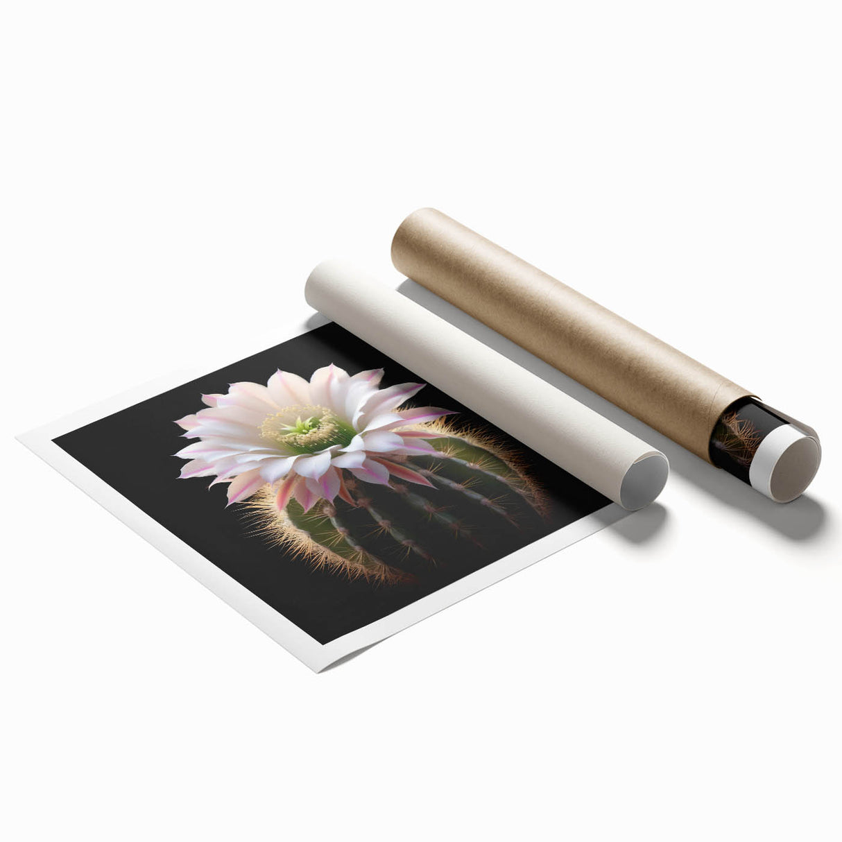 Botanical wall art print showcasing a vibrant cactus design with intricate details, rolled for easy framing and delivery, perfect for home decor enthusiasts.