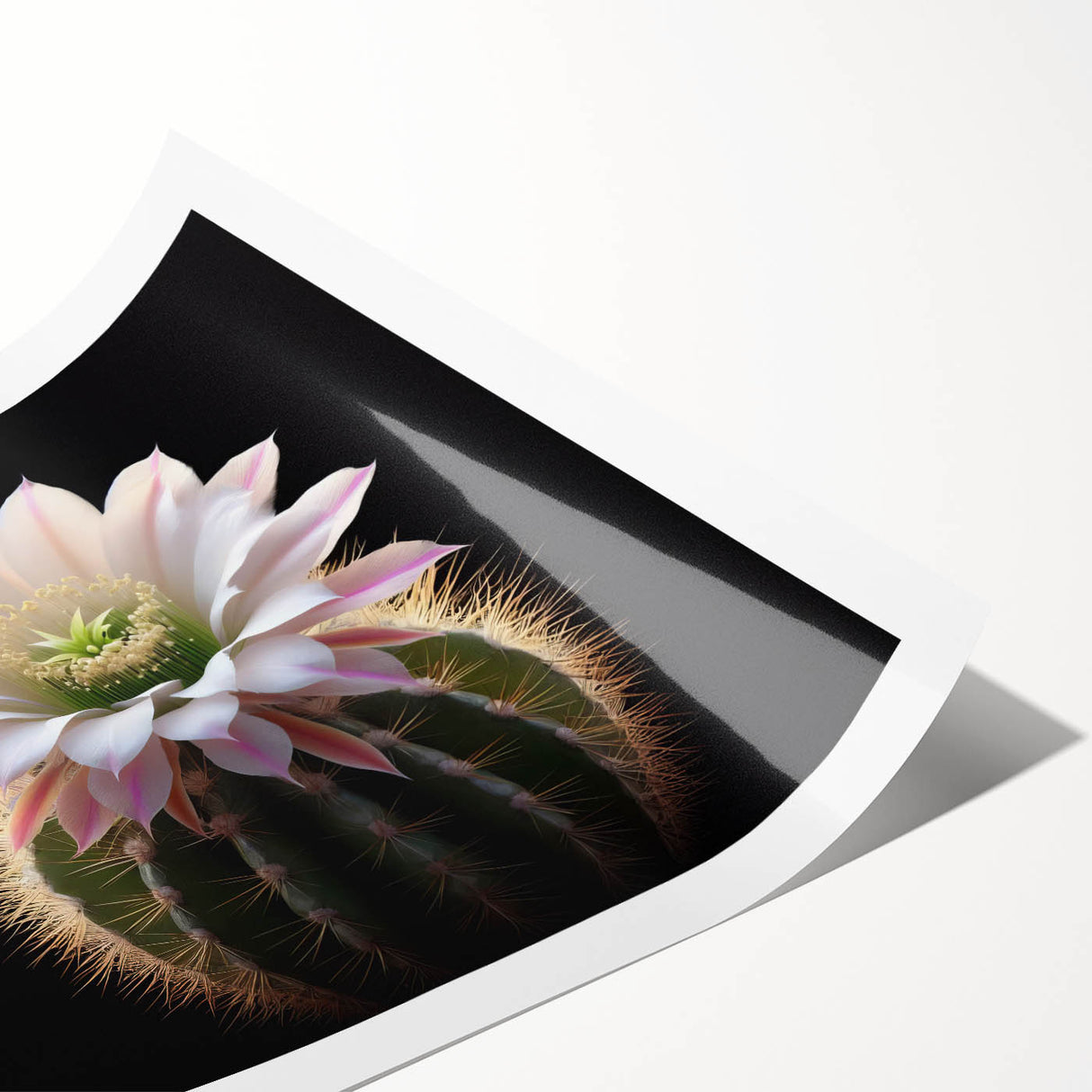 Botanical wall art print showcasing a vibrant cactus design in shades of green and pink, rolled and ready for framing, perfect for home decor enthusiasts.