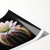 Botanical wall art print showcasing a vibrant cactus design in shades of green and pink, rolled and ready for framing, perfect for home decor enthusiasts.