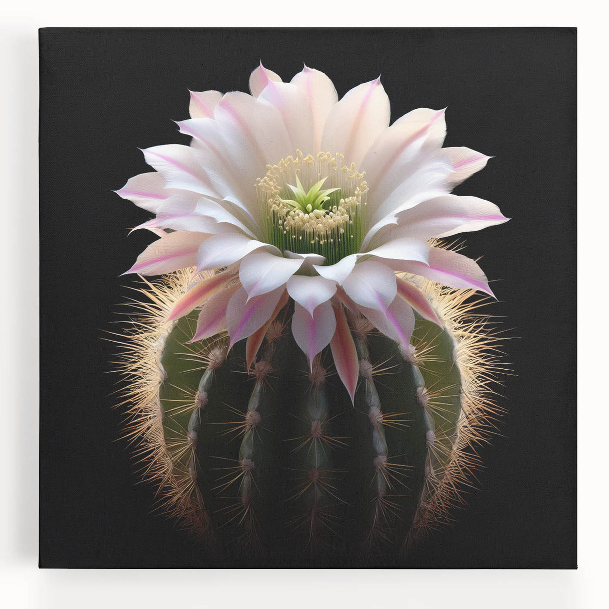 Colorful botanical cactus wall art design on stretched canvas, showcasing vibrant green and earthy tones, perfect for home decor and nature enthusiasts.