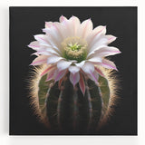 Colorful botanical cactus wall art design on stretched canvas, showcasing vibrant green and earthy tones, perfect for home decor and nature enthusiasts.