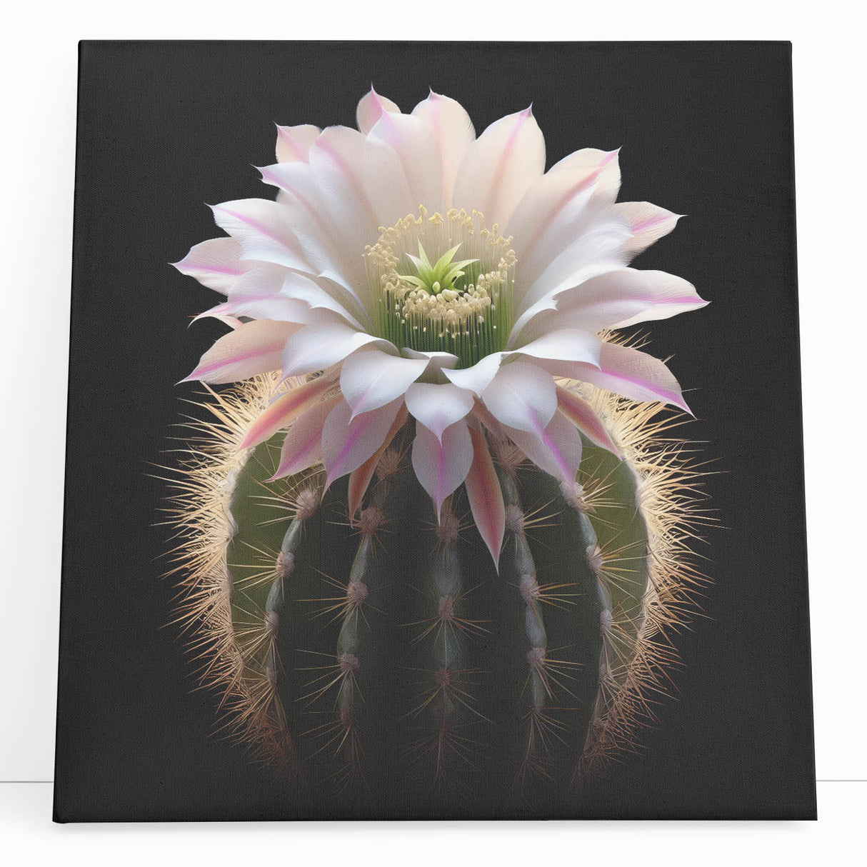 Botanical wall art featuring a vibrant cactus design on stretched canvas, showcasing intricate details and a colorful palette, perfect for modern decor.