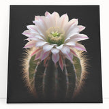 Botanical wall art featuring a vibrant cactus design on stretched canvas, showcasing intricate details and a colorful palette, perfect for modern decor.