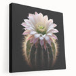 Cactus-themed botanical wall art collection printed on stretched canvas, showcasing intricate floral designs in vibrant greens and earthy tones, ideal for home decor.