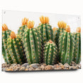 Acrylic glass wall art featuring a botanical cactus design, displayed from a side view with decorative pins, perfect for modern home decor enthusiasts.