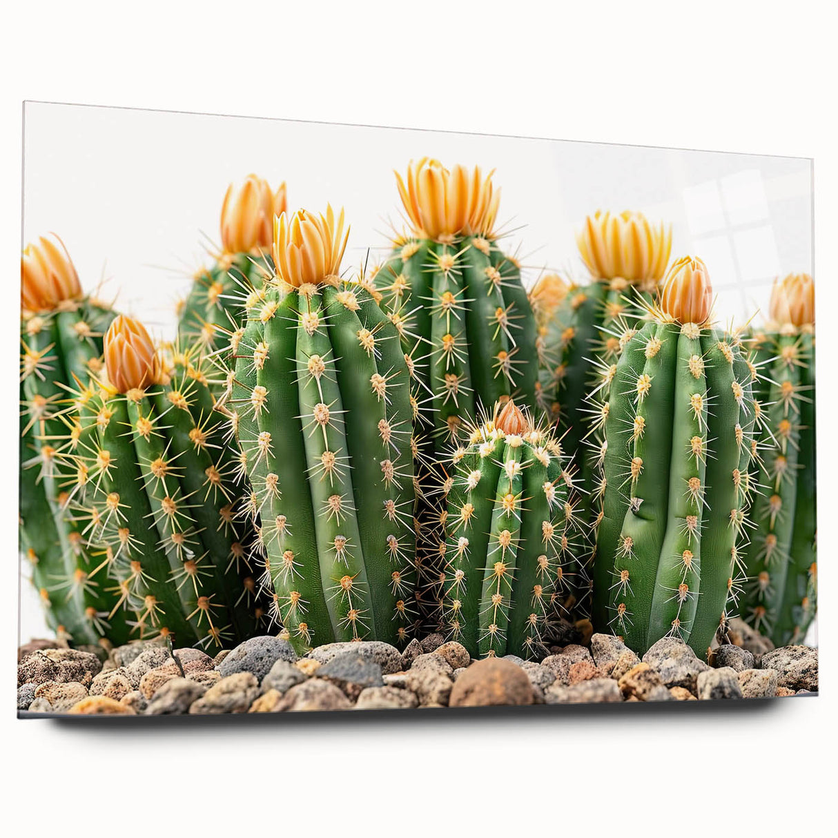 Acrylic glass wall art showcasing a vibrant botanical cactus design, featuring intricate details and a side view, perfect for modern home decor.