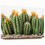 Acrylic glass wall art showcasing a vibrant botanical cactus design, featuring intricate details and a side view, perfect for modern home decor.