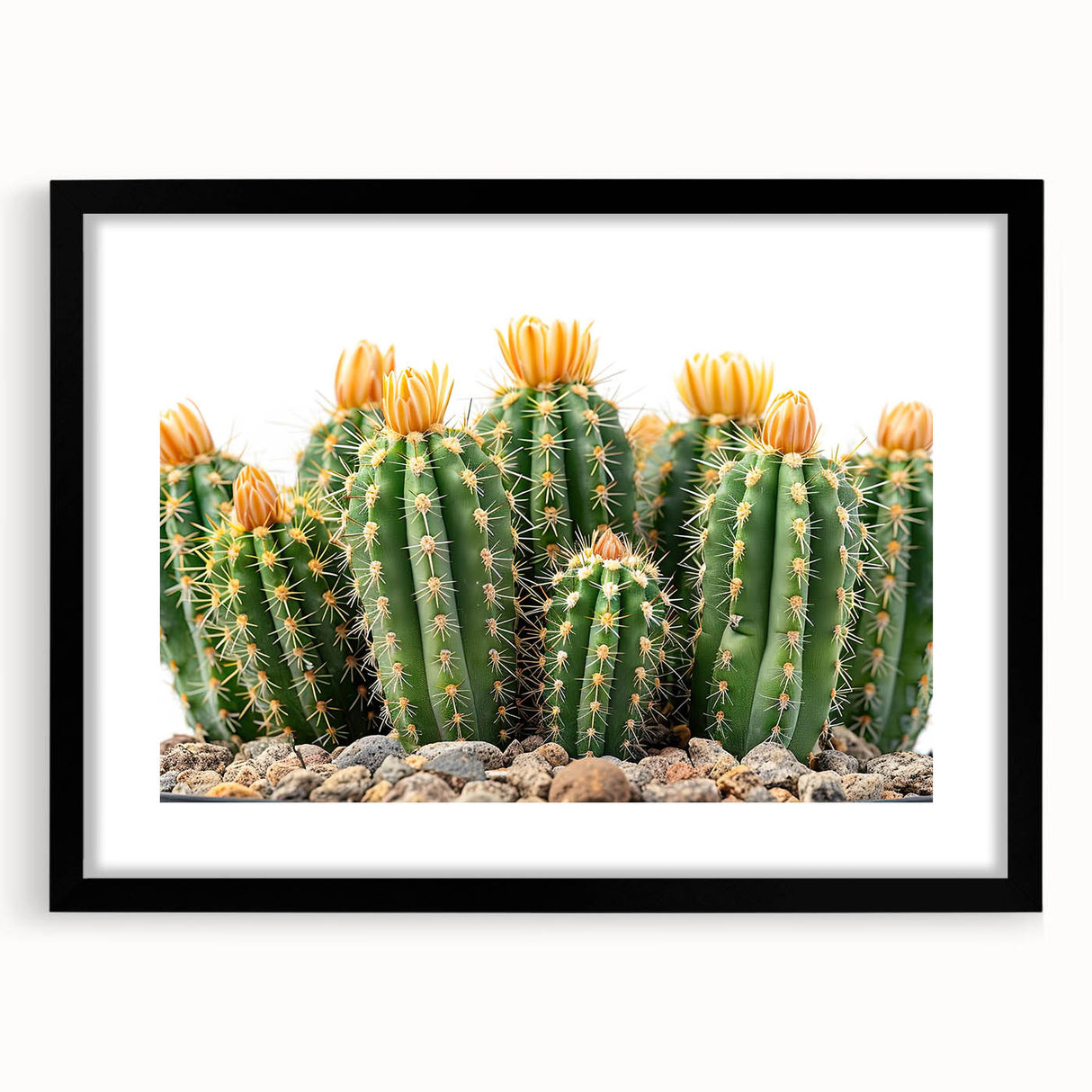 Botanical wall art collection featuring a framed cactus design in black with a white mat, ideal for modern home decor. Perfect for adding a touch of nature to any room.