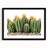 Botanical wall art collection featuring a framed cactus design in black with a white mat, ideal for modern home decor. Perfect for adding a touch of nature to any room.