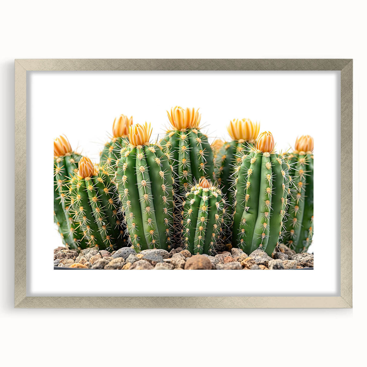 Framed botanical wall art collection featuring a stylish silver frame with a mat, showcasing vibrant cactus designs, perfect for home decor enhancement.
