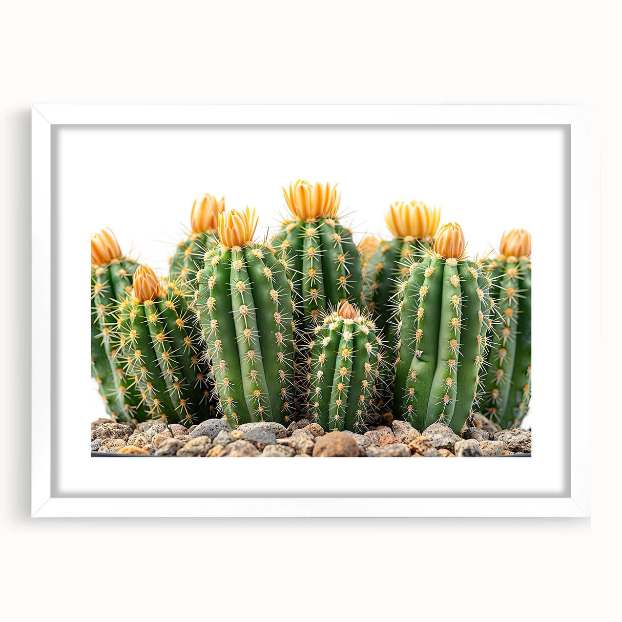 Framed botanical wall art featuring a vibrant cactus design with intricate details, set in a white mat, perfect for modern home decor. Ideal for nature enthusiasts and art collectors.
