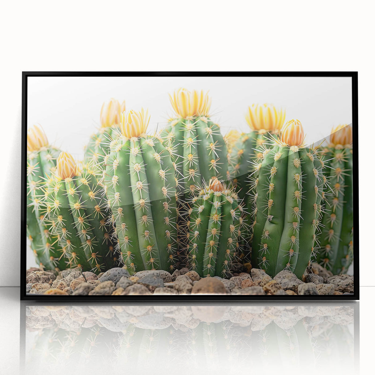 Framed wall art featuring a botanical cactus design in vibrant colors, set against a sleek black frame, perfect for modern home decor and nature enthusiasts.