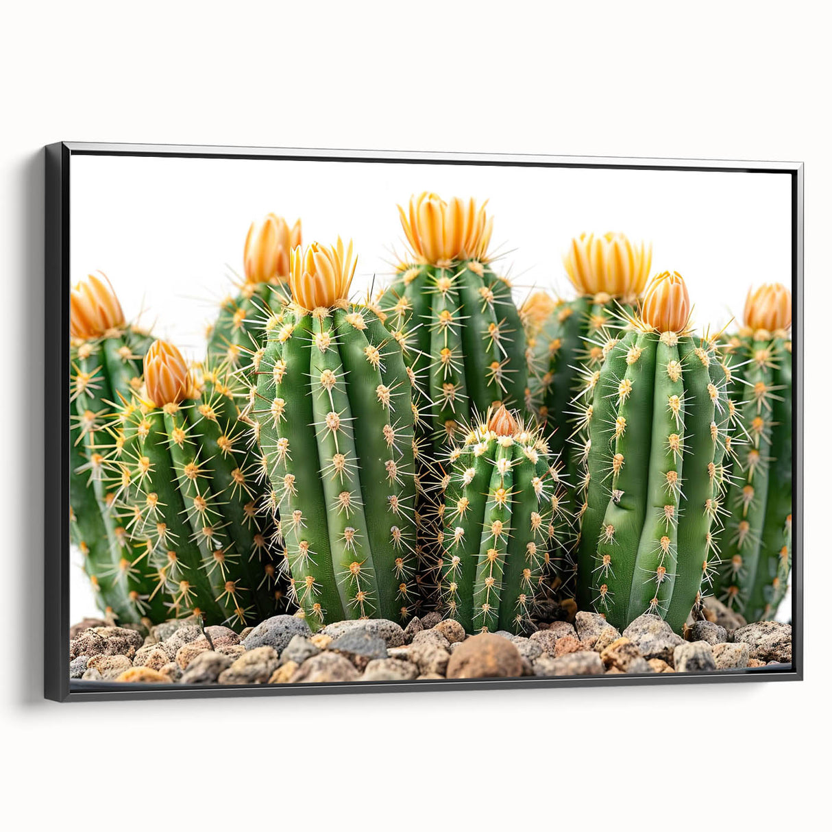 Framed botanical wall art featuring a vibrant cactus design on canvas, set against a sleek black frame, showcasing a modern aesthetic perfect for home decor.
