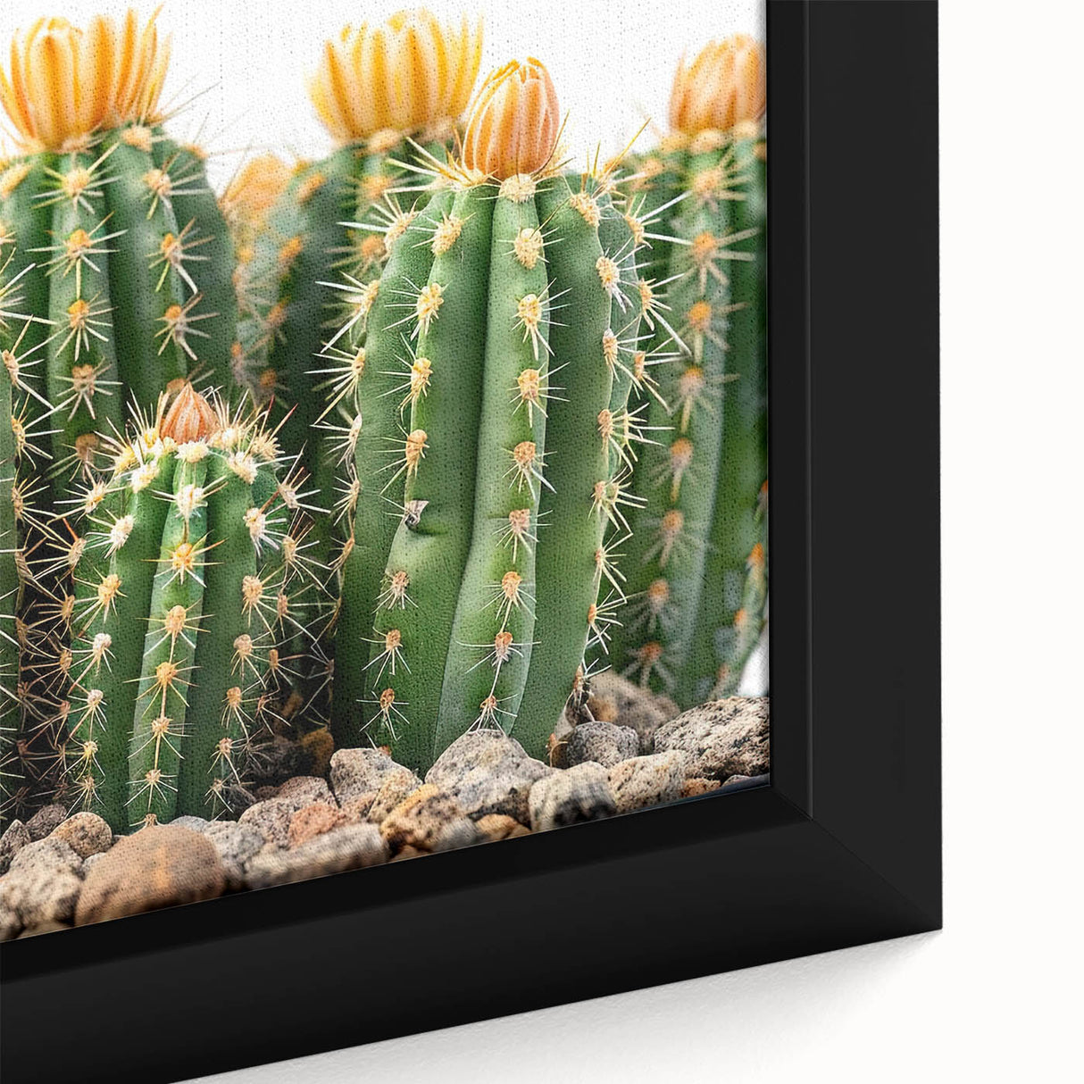 Close-up of a botanical cactus design framed wall art piece, showcasing vibrant green hues and intricate details, ideal for modern home decor.