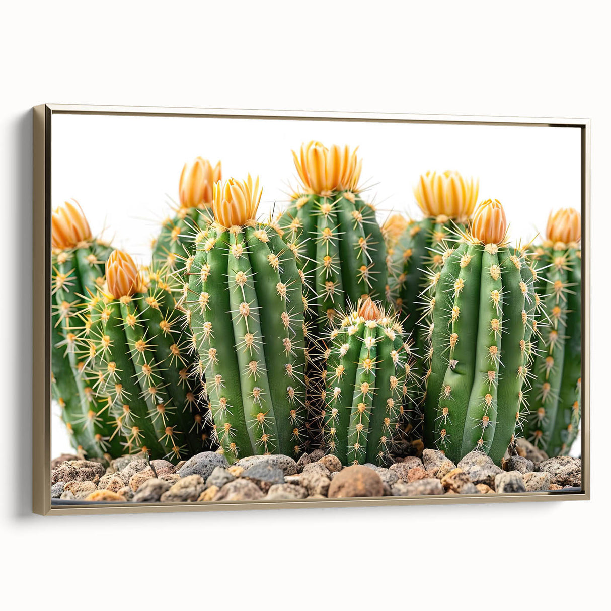 Framed botanical wall art featuring a vibrant cactus design, elegantly showcased with a gold frame, perfect for modern home decor and nature enthusiasts.