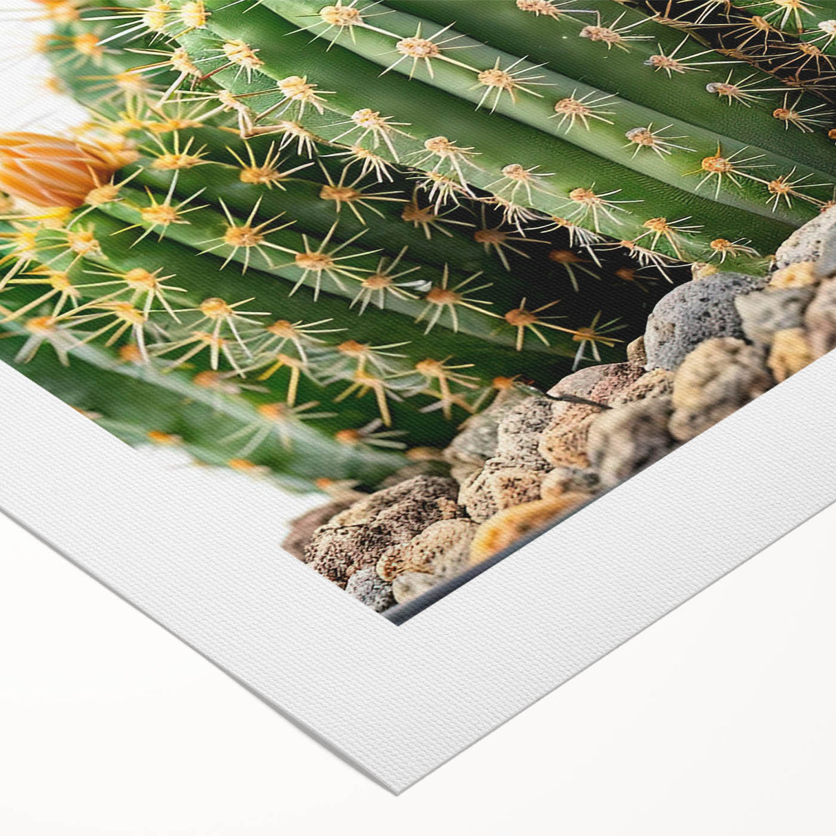 Botanical wall art featuring a vibrant cactus design on rolled canvas, showcasing intricate details and colors, ideal for home decor or office settings.