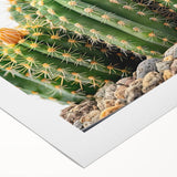 Botanical wall art featuring a vibrant cactus design on rolled canvas, showcasing intricate details and colors, ideal for home decor or office settings.