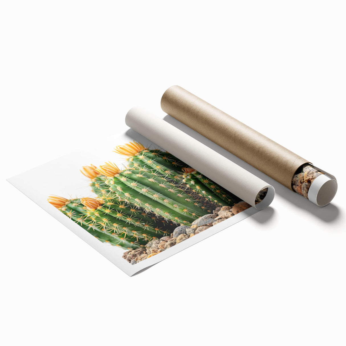 Botanical wall art print showcasing a vibrant cactus design with intricate details and colorful accents, rolled for easy display and shipping. Perfect for nature lovers.