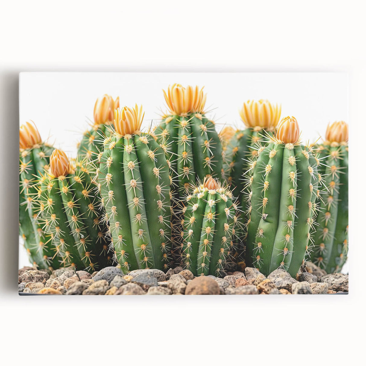 Botanical wall art featuring a vibrant cactus design on stretched canvas, showcasing rich green tones and intricate details, perfect for modern home decor.