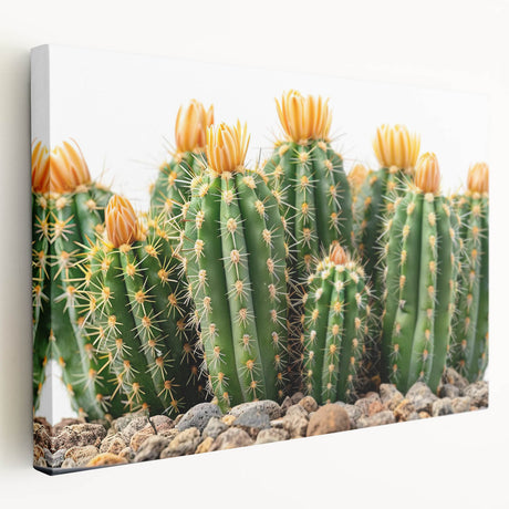 Stretched canvas wall art displaying a vibrant botanical cactus design, featuring intricate details in green and beige hues, perfect for home decor enhancement.