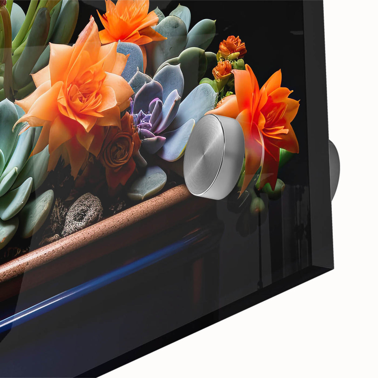 Close-up of a vibrant botanical cactus design wall art piece, showcasing intricate details and textures on acrylic glass, perfect for modern home decor.