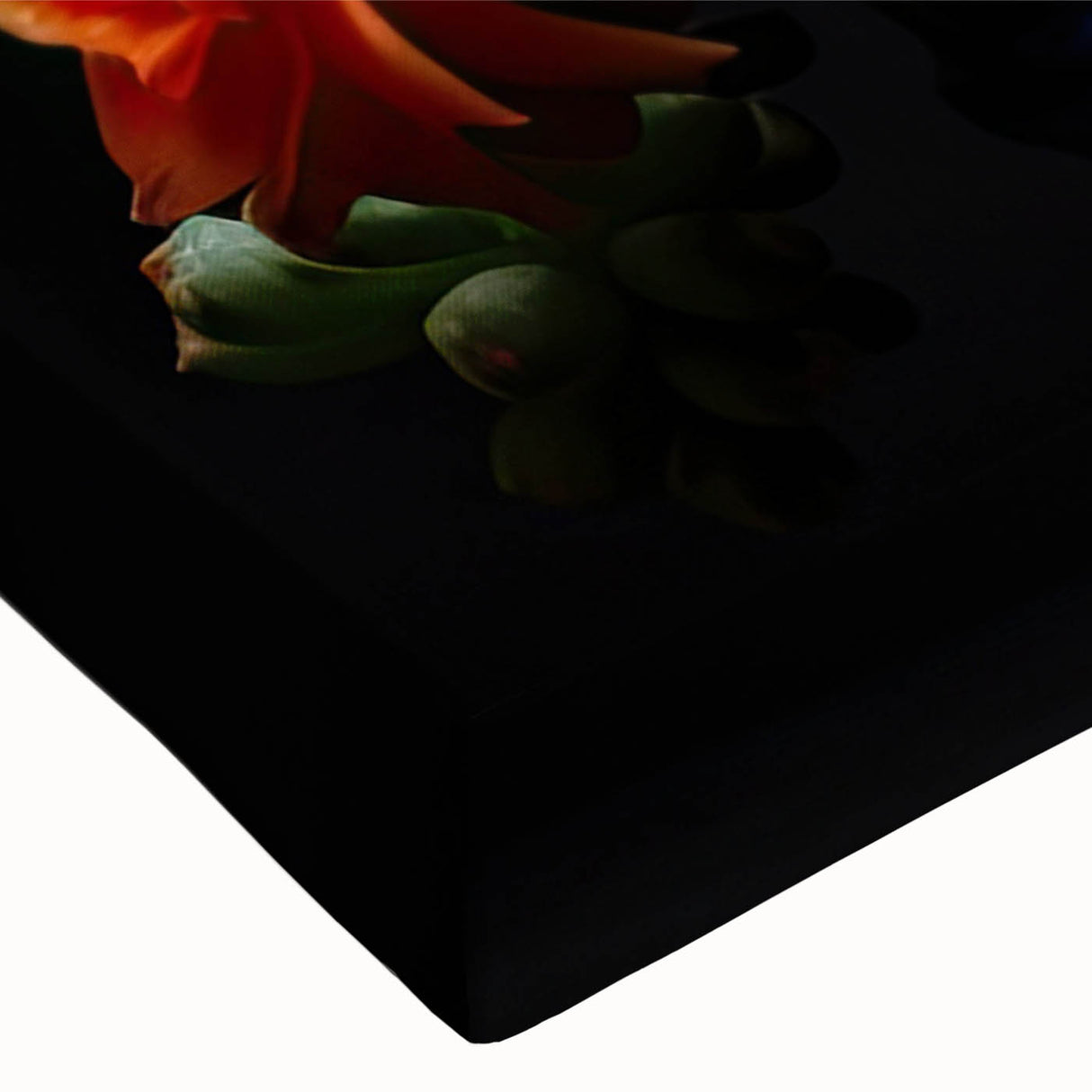 Close-up of a vibrant botanical cactus design on stretched canvas wall art, featuring intricate details and rich colors, ideal for modern home decor.
