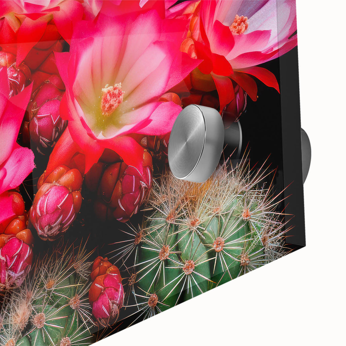 Close-up of a vibrant botanical wall art piece featuring a detailed cactus design, showcasing rich green hues and intricate textures, perfect for modern decor.