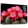 Side view of a botanical cactus wall art collection displayed in an acrylic glass frame, featuring vibrant colors and intricate details, perfect for home decor.