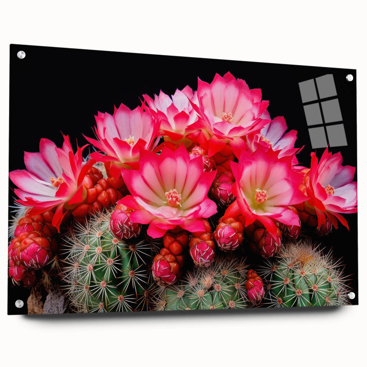 Side view of a botanical cactus wall art collection displayed in an acrylic glass frame, featuring vibrant colors and intricate details, perfect for home decor.