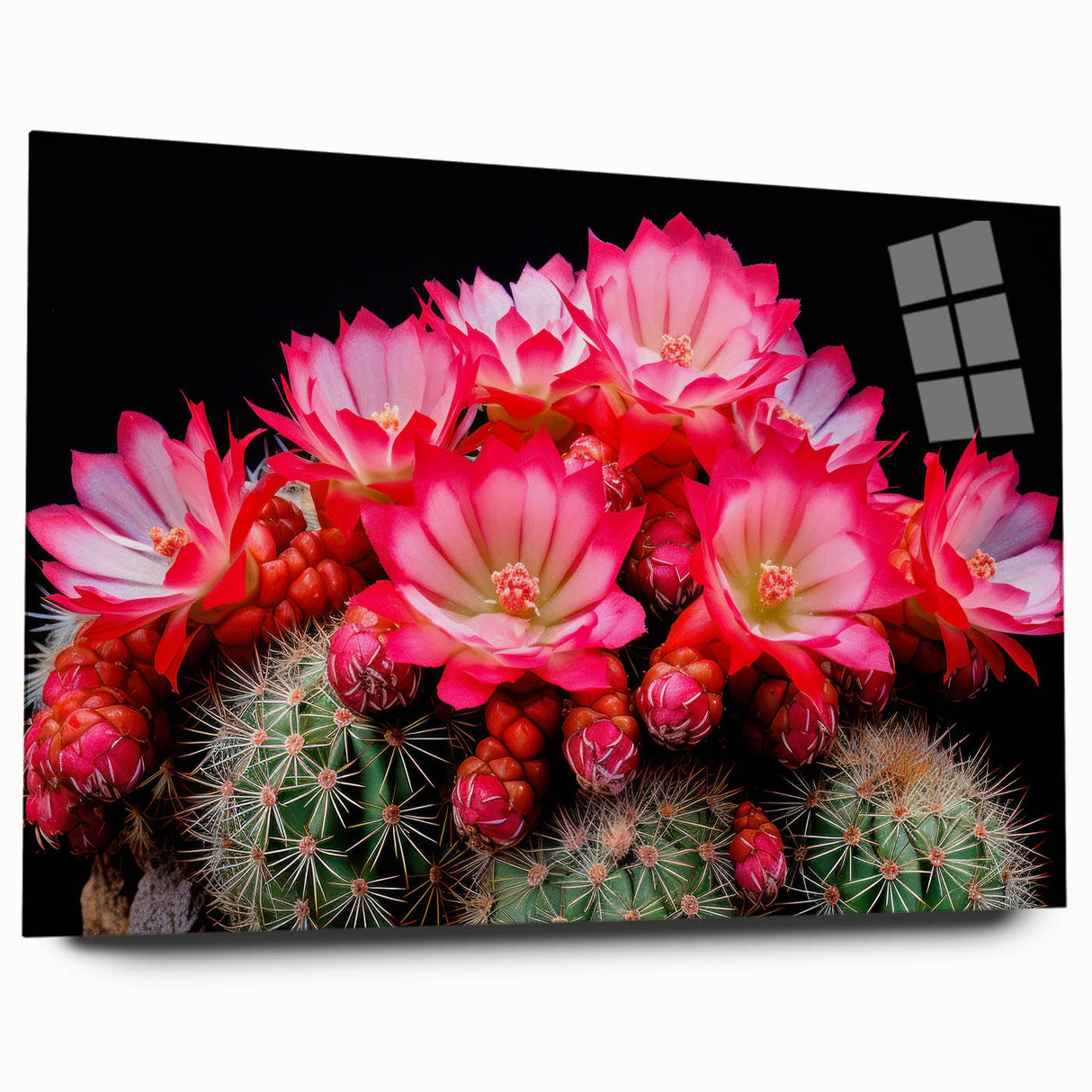 Side view of a botanical cactus wall art piece displayed in an acrylic frame, showcasing vibrant colors and intricate details, perfect for modern home decor.