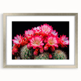 Botanical wall art featuring a stylish cactus design in a sleek silver frame with a white mat, perfect for modern home decor and nature-inspired aesthetics.