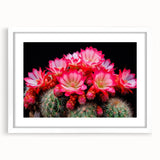 Botanical wall art collection featuring a vibrant cactus design, framed with a white mat, showcasing intricate details and a modern aesthetic, perfect for home decor.