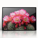 Framed wall art showcasing a botanical cactus design with vibrant colors, black frame, and acrylic finish, perfect for modern home decor. Ideal for plant lovers.